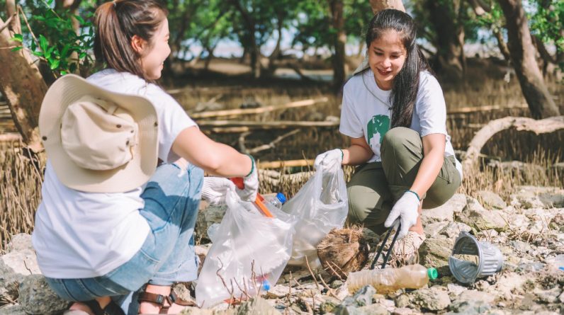 Social Enterprise Day
