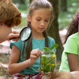 What Was the Education Reform